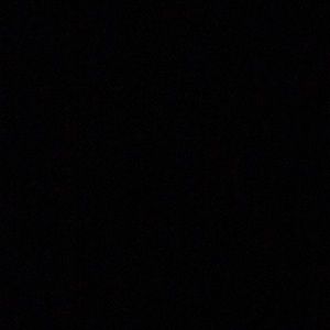 Meet your Posher, Janene